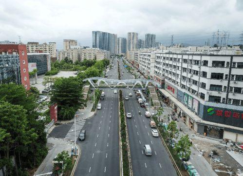 龙华大浪爆料最新消息新闻 第3张 龙华大浪爆料最新消息新闻 第3张